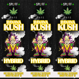 Banana Kush Disposable Vape Pen – 1ml, 98% THC