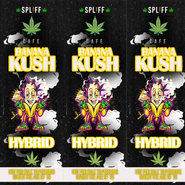 Banana Kush Disposable Vape Pen – 1ml, 98% THC