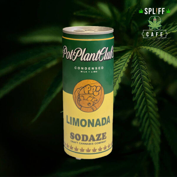 Sodaze x PPC Limonada