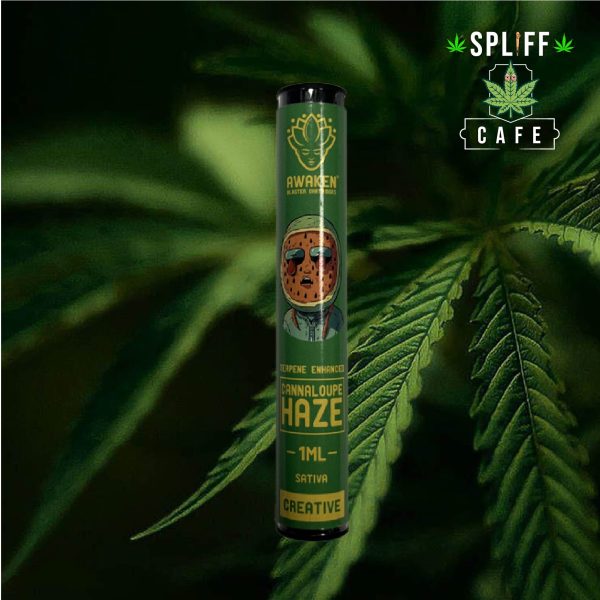 Awaken Blaster Cartridge 1ml Cannaloupe Haze