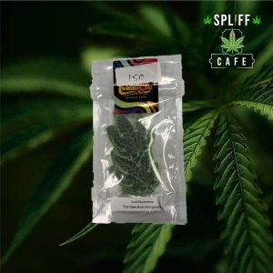 Leaf Gummies (50mg Each)