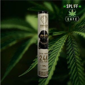 Awaken Blaster Cartridge 1ml 24k Gold Punch