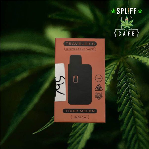 Awaken Travellers 1ml Tiger melon Disposable Vape
